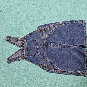 3T denim overall shorts